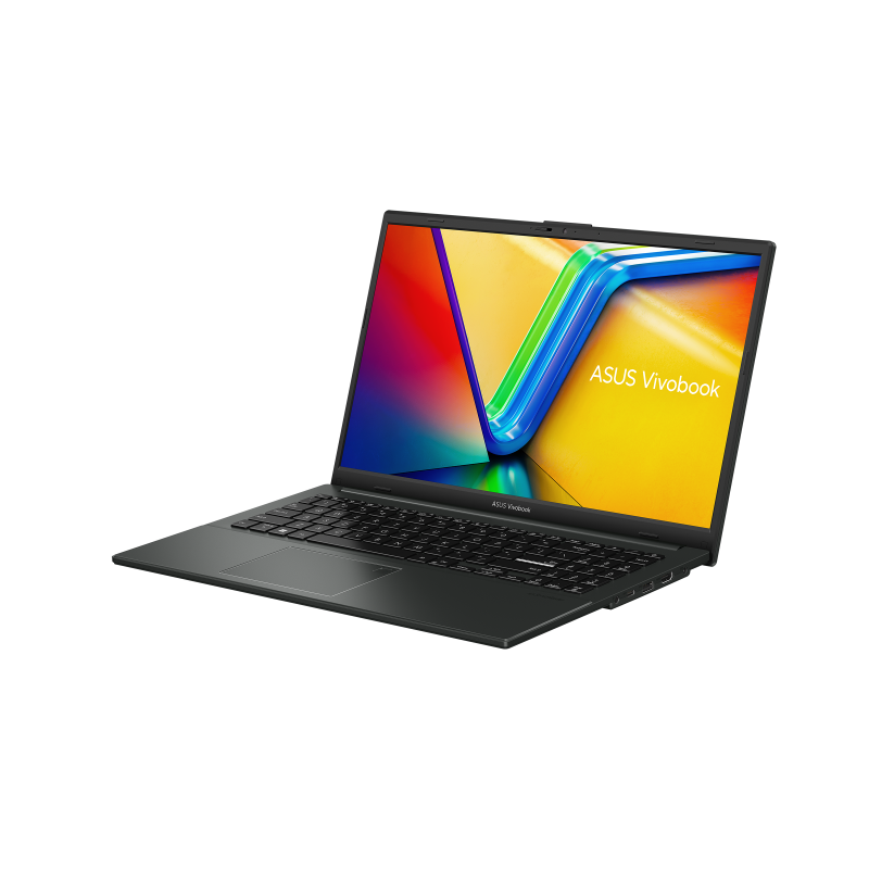 Asus Vivobook Go E1504GA-BQ550